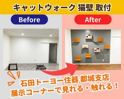 キャットウォーク 猫壁(にゃんぺき)取付